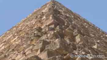 WATCH:  Dog spotted atop Great Pyramid of Giza makes expert descent