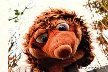 Die rührende Geschichte von Igel Isidor und seinem Ersatzmann