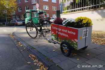 Neue Blumenkübel im Kreuzviertel platziert