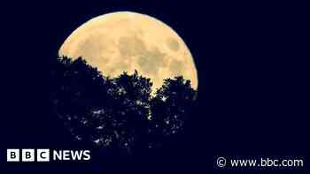Your photos: Hunter's Moon lights up sky