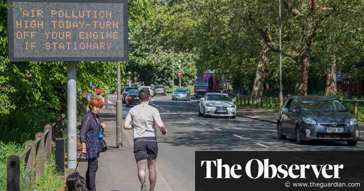 Does air pollution cause dementia? UK scientists launch study to find out