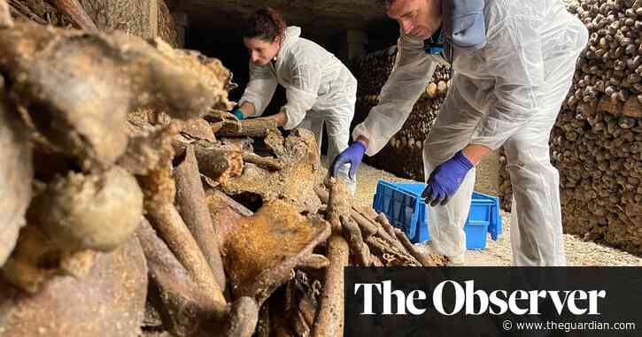 ‘Bodies were dropped down quarry shafts’: secrets of millions buried in Paris catacombs come to light