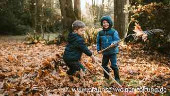 Garten im Herbst: Mit dieser Arbeit zerstören Sie Ihre Pflanzen