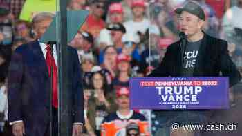 Elon Musk fördert Republikaner und US-Verfassung mit Millionengeschenken vor Wahl