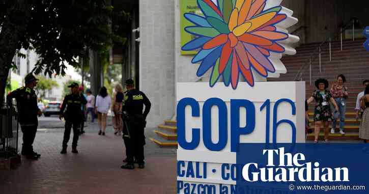 Cop16: Colombia prepares to host ‘decisive’ summit on biodiversity