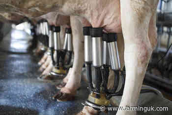 UK farm unions sound alarm over potential changes to dairy contracts