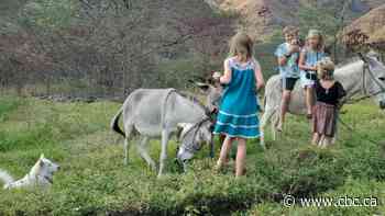 Why wait to retire? These Canadians are embracing the adult gap year instead