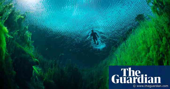 Protecting the Green Triangle: experts warn of ‘irreversible’ groundwater decline