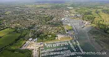 Woman committed crime while holidaying in the New Forest with family