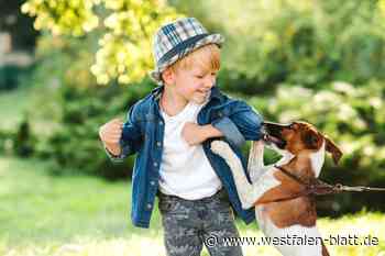 Im Kreis Höxter keine Seltenheit: Infektionsgefahr durch Haustierbisse