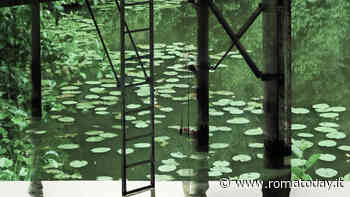 Lucia Simone, Altri paradisi