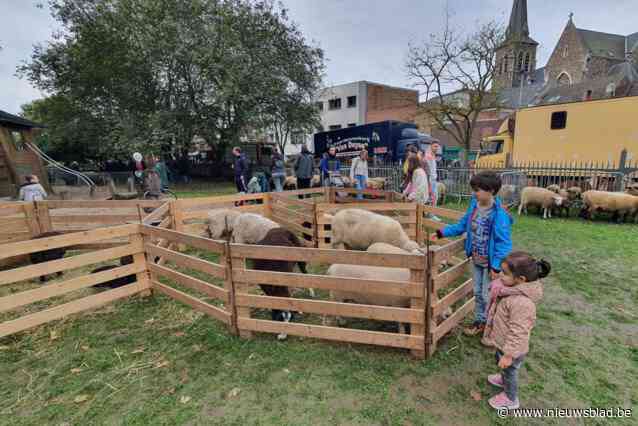 Op de koppen lopen op sfeervolle jaarmarkt in Lembeek