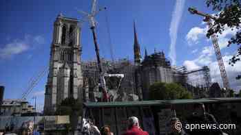Paris To Spend $55 Million Greening The Spaces Around Notre-Dame Cathedral