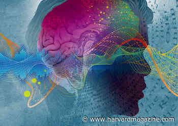 Study: How Our Brains Attach Meaning To Words