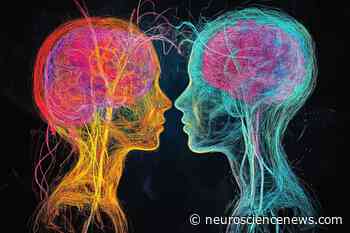 Study: Those Who Learn A Second Language Develop More Brain Connections