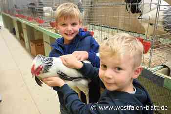 Rödinghausen: Federvieh zeigt sich von seiner schönsten Seite