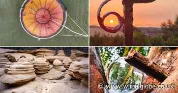 Take a second look at some of these unusual images from Wirral photographers