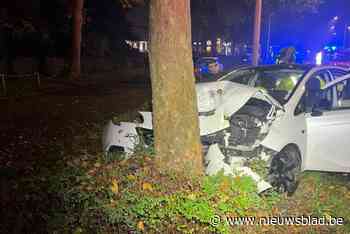 Auto tegen boom op Grote Ring in Hasselt: twee twintigers gewond