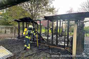 Hühnerstall in Versmold brennt ab
