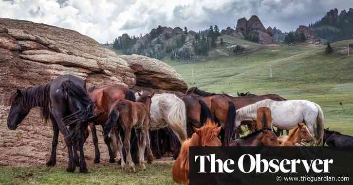 The ride of our lives: why the horse is crucial to human history