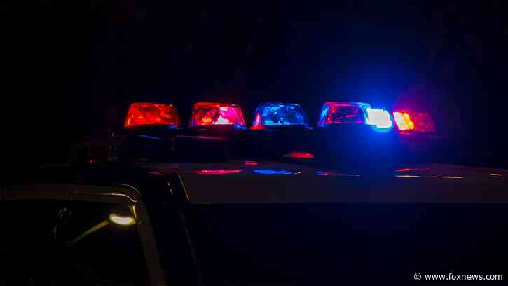 Shooting at Mississippi trail ride leaves 3 dead, 8 wounded: sheriff