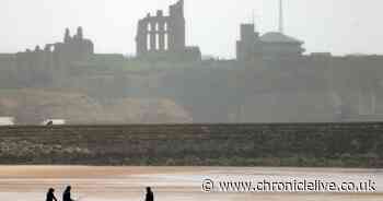 Pictures show North East dog walkers brave wet and windy weather as Storm Ashley hits