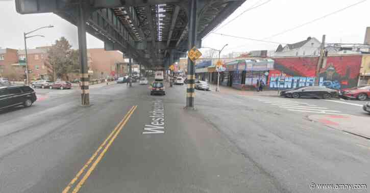 Senior cyclist fatally struck by pickup truck driver in Bronx