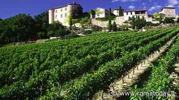 Roma premiata per il progetto sui vigneti urbani