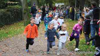 Erfolg auf ganzer Linie: So verlief der 30. Altstadtlauf durch Weißenhorn