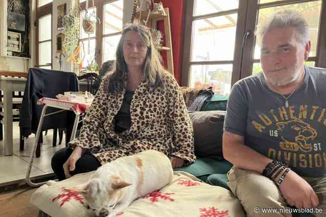 Opnieuw hondje doodgebeten door losgebroken hond: “Schepen voor Dierenwelzijn is hoognodig in Ranst”