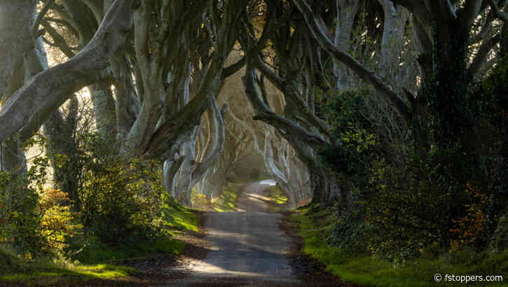 Finding the Perfect Location in Landscape Photography