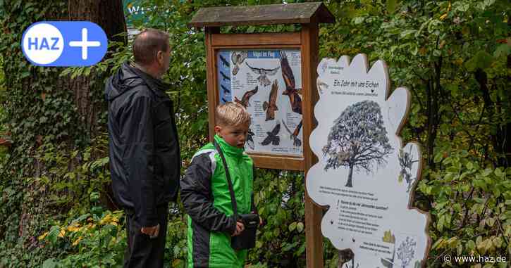 Euroblech, Hubertusfest, Hemminger Wiesn und mehr: Das ist vom 21. bis 27. Oktober in Hannover los