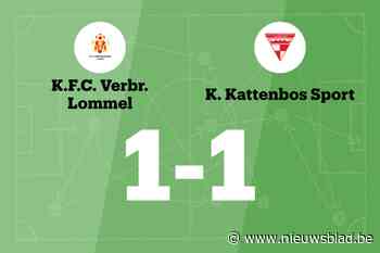 Gelijkspel voor V. Lommel thuis tegen Kattenbos