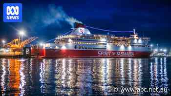 Travellers and businesses face months-long wait for Spirit bookings, but new ships won't be operational until 2026