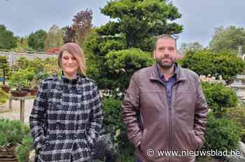 Zo’n honderd liefhebbers bewonderen bonsai-bomen in Brecht: “Ongelooflijk mooi en betaalbaar”