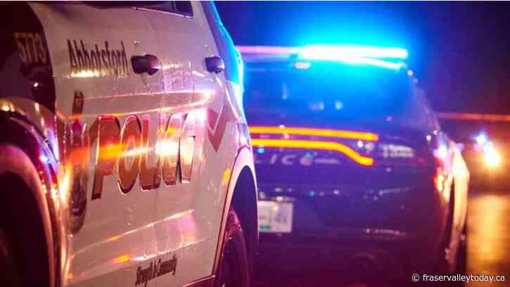 Driver escapes flames, suffers minor injuries after single-vehicle crash in Abbotsford: APD