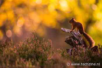 Real-time stream processing met Flink nu binnen handbereik