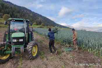 Ackern auf den Äckern in Italiens hohem Norden