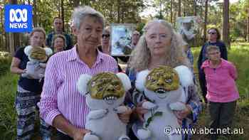 'Zombie' development approvals threaten coastline's endangered koalas, rainforests, conservationists say