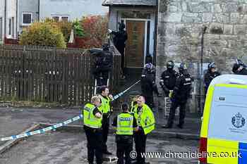 Riot police deployed in Scotland after pack of dogs fatally attack small Lhasa Apso