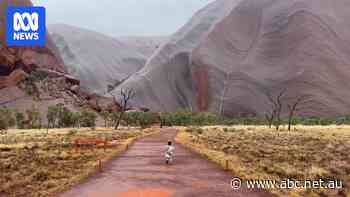Uluru track closures in wet weather costing tourism operators at Australia's 'crown jewel'