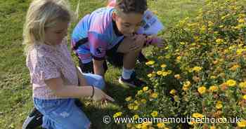 Purbeck youngsters go wild during new initiative