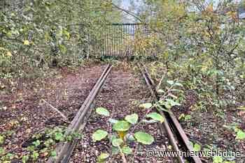 Ook laatste overblijfsel van Ford Genk gaat nu verdwijnen: spoorinfrastructuur wordt opgebroken