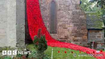 Remembrance poppy cascade returns for second year