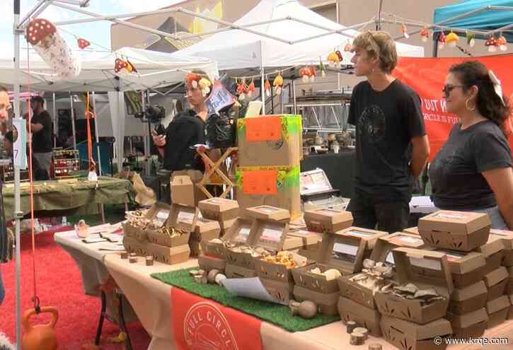 Locals celebrate all things fungi at unique festival