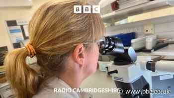 The cutting edge of cancer research
