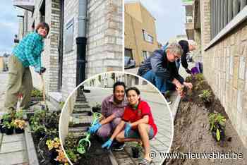 Jaarlijkse Herfstpoets: Wilrijk gaat extra proper en fleurig de herfst in