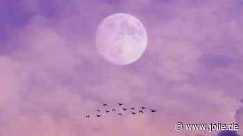 Wochenhoroskop: So stehen deine Sterne vom 21. bis 27. Oktober