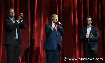 Trump family gets 75% of crypto coin revenue, has no liability, new document reveals