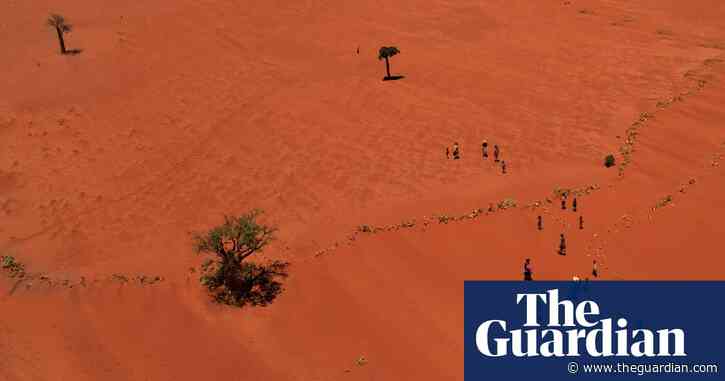 Humanity is on the verge of ‘shattering Earth’s natural limits’, say experts in biodiversity warning